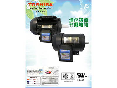 全封闭外部风扇型东芝电动机